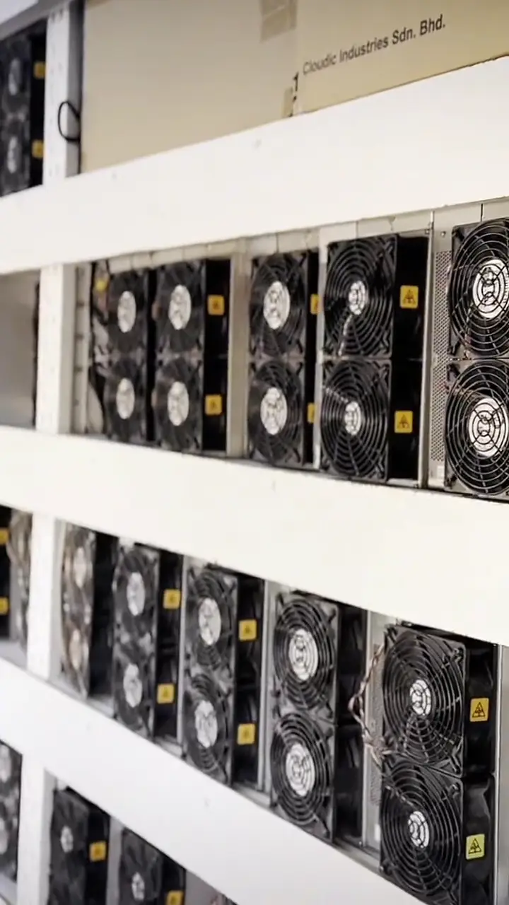 Frame from the film of centre F23